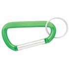 A green carabiner with a silver gate and a metal keyring attached.