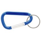 A blue carabiner with silver metal parts attached to a metal keyring.