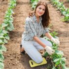 A woman kneels in a garden, tending to plants growing along rows. She wears a plaid shirt, white pants, and gloves, with a kneeling pad beneath her. The soil looks freshly tilled, and the plants are supported by strings.