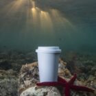 A white disposable coffee cup is submerged underwater, resting on coral near a red starfish. Sunlight filters through the water, casting rays above the ocean floor.