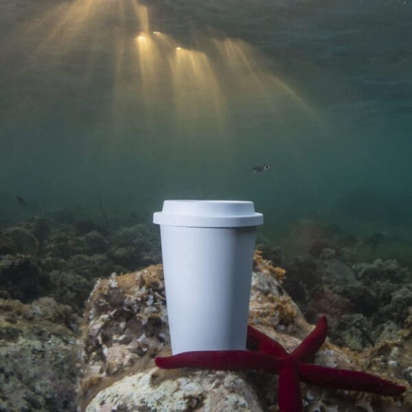 A white disposable coffee cup rests on an underwater rock, surrounded by coral and a red starfish. Sunlight filters down through the water, illuminating the scene.