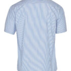 Back view of a short-sleeved, light blue and white striped button-up shirt. The shirt features a classic collar and has evenly spaced vertical stripes throughout its fabric.