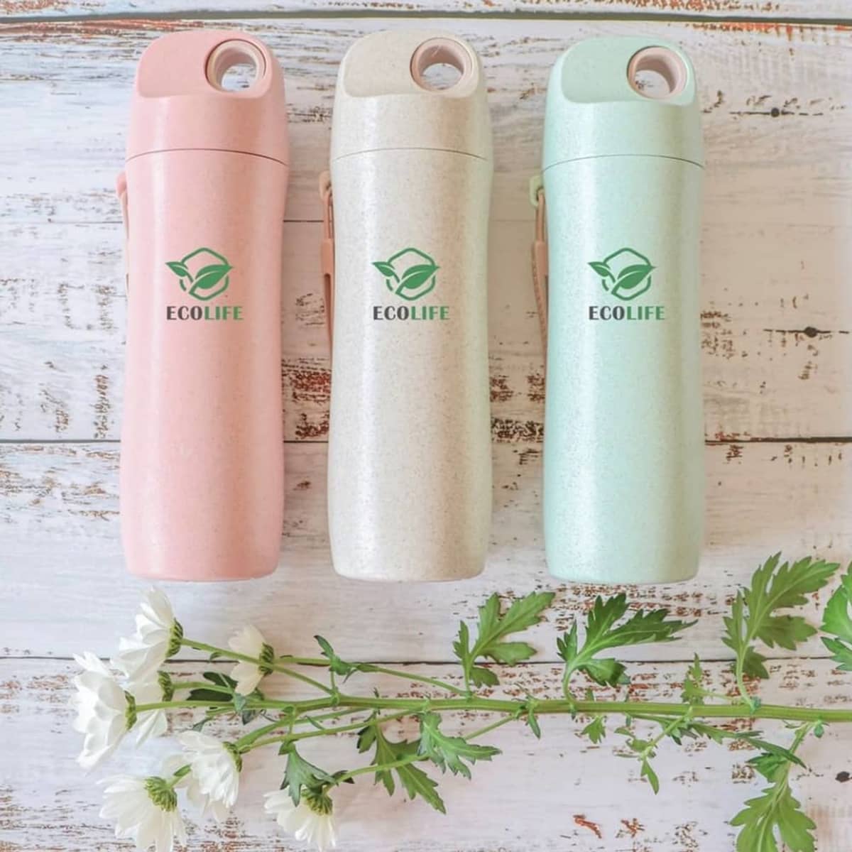 Three reusable EcoLife water bottles in pink, beige, and mint green are lined up on a rustic white wooden background. A sprig of white daisies lies in front of the bottles.