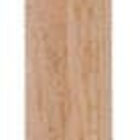 Close-up of a sharpened wooden pencil standing upright, showing the pointed graphite tip and wooden casing.