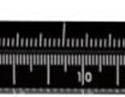 A black multi-tool pen with a ruler marked in centimeters and inches, featuring a textured grip, a metallic clip on the cap, and a stylus tip at the opposite end. The pen design is sleek and functional.