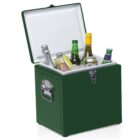 A green cooler with an open lid, containing various bottled beverages, some covered with ice. The bottles include wine, beer, and sparkling water, suggesting a party or picnic setting.