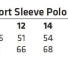 Size chart for Ladies TrueDry Short Sleeve Polo, includes sizes 6 to 24 for chest and body length.