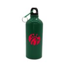Green metal water bottle with a black screw-on lid and green carabiner attached to a loop. The bottle features a red logo depicting a stylized fish. The design is minimalistic and modern.