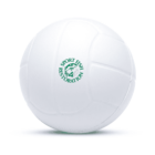 A white ball with a segmented design features a green logo at its center. The logo consists of a fish graphic encircled by the words Sport Fish Restoration. The ball is set against a plain white background.