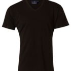 A plain black V-neck T-shirt on a white background. The shirt has short sleeves and a label visible at the neckline.