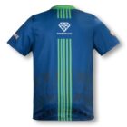 Back view of a blue sports shirt with green vertical stripes and decorative patterns at the bottom. The logo DIAMONDLINE is printed on the upper back. The sleeves have additional logos.