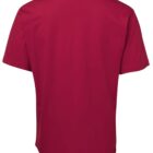 Back view of a plain red T-shirt on a white background.