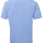 A plain light blue T-shirt is shown from the back. The fabric appears soft, and the shirt has short sleeves and a round neckline.