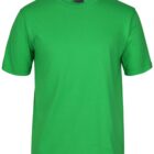 Plain green t-shirt with short sleeves and a crew neckline, displayed against a white background.