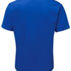 A plain blue t-shirt is displayed, shown from the back. The shirt has short sleeves and a crew neckline. The fabric appears smooth and lightweight, suitable for casual wear.