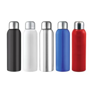 Five metal water bottles in black, white, silver, blue, and red with silver caps.