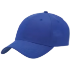 Promotional Expo Event Staff Cap in blue, curved brim, ventilation holes