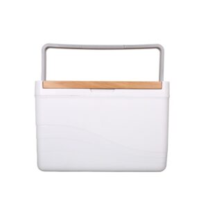 Cooler Boxes With Bamboo Lid 11L
