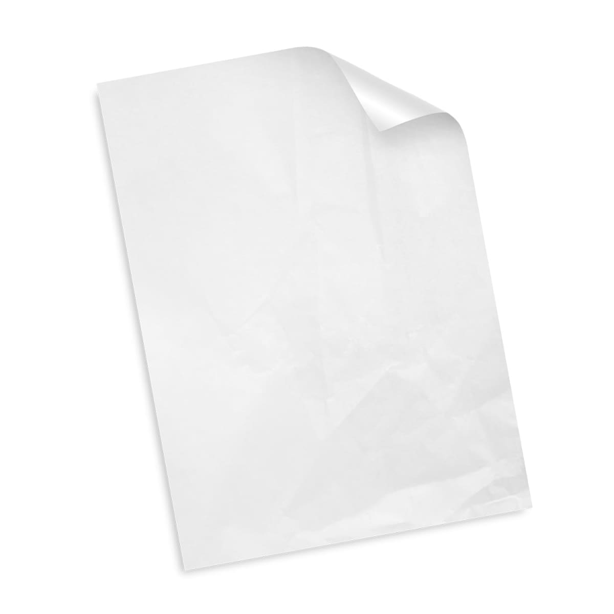 A sheet of blank white paper with a curled corner, slightly crumpled, on a white background.