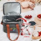 Open picnic cooler bag with brown handles, next to cans labeled 330 ml. Picnic blanket with food including cherries, blueberries, and more. Includes a hat and straw items, set on grass. Arrows indicate cooler can hold 10 cans.