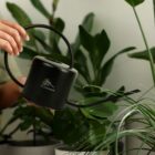 A hand holding a black watering can with a long spout, labeled EcoHome, watering lush, green indoor plants.