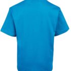 A bright blue short-sleeve T-shirt displayed on a plain white background, viewed from the back. The shirt is simple in design with clean stitching lines along the sleeves, collar, and hem.