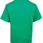 A plain green T-shirt shown from the back. The shirt has short sleeves and a round neckline. The fabric appears soft and comfortable.