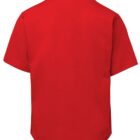 A plain red short-sleeve T-shirt displayed from the back, showcased against a white background.