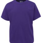 A plain purple T-shirt displayed on a white background. The T-shirt has short sleeves and a round neckline.