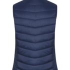 The image shows a navy blue puffer vest on a white background. The vest is quilted with horizontal stitching and has a high collar. The back view is presented.
