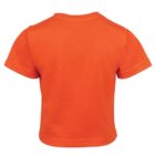 Back view of an orange short-sleeved T-shirt against a white background.