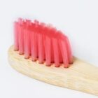 Close-up of a bamboo toothbrush with soft, densely packed pink bristles against a plain white background.
