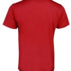 A plain red short-sleeved T-shirt displayed against a white background, showing the back view.
