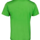 A plain green t-shirt shown from the back, featuring short sleeves and a simple crew neck design. The fabric appears smooth and lightweight.