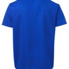 A plain blue T-shirt shown from the back.