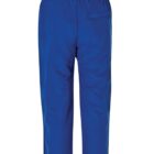 A pair of blue mens scrubs pants with an elastic waistband and a single back pocket, shown from the back.
