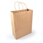 A plain brown paper shopping bag with two sturdy twisted handles stands upright against a white background. The bag is empty and its sides are neatly folded.