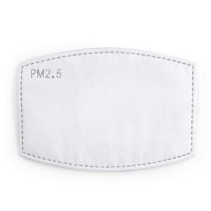 Carbon Filter Face Mask