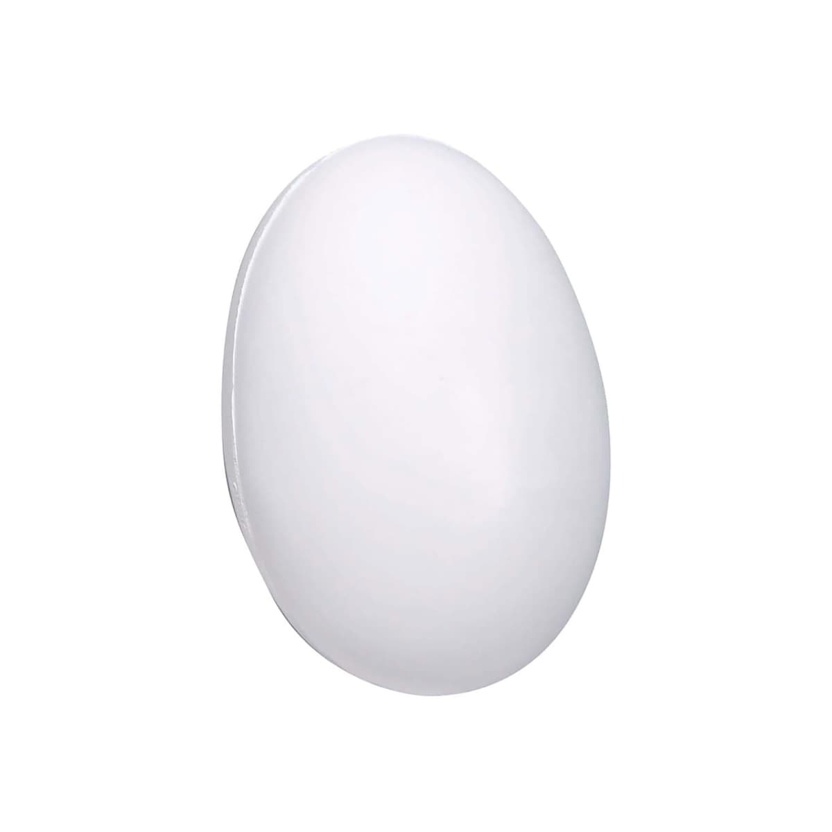 A plain white egg against a white background.