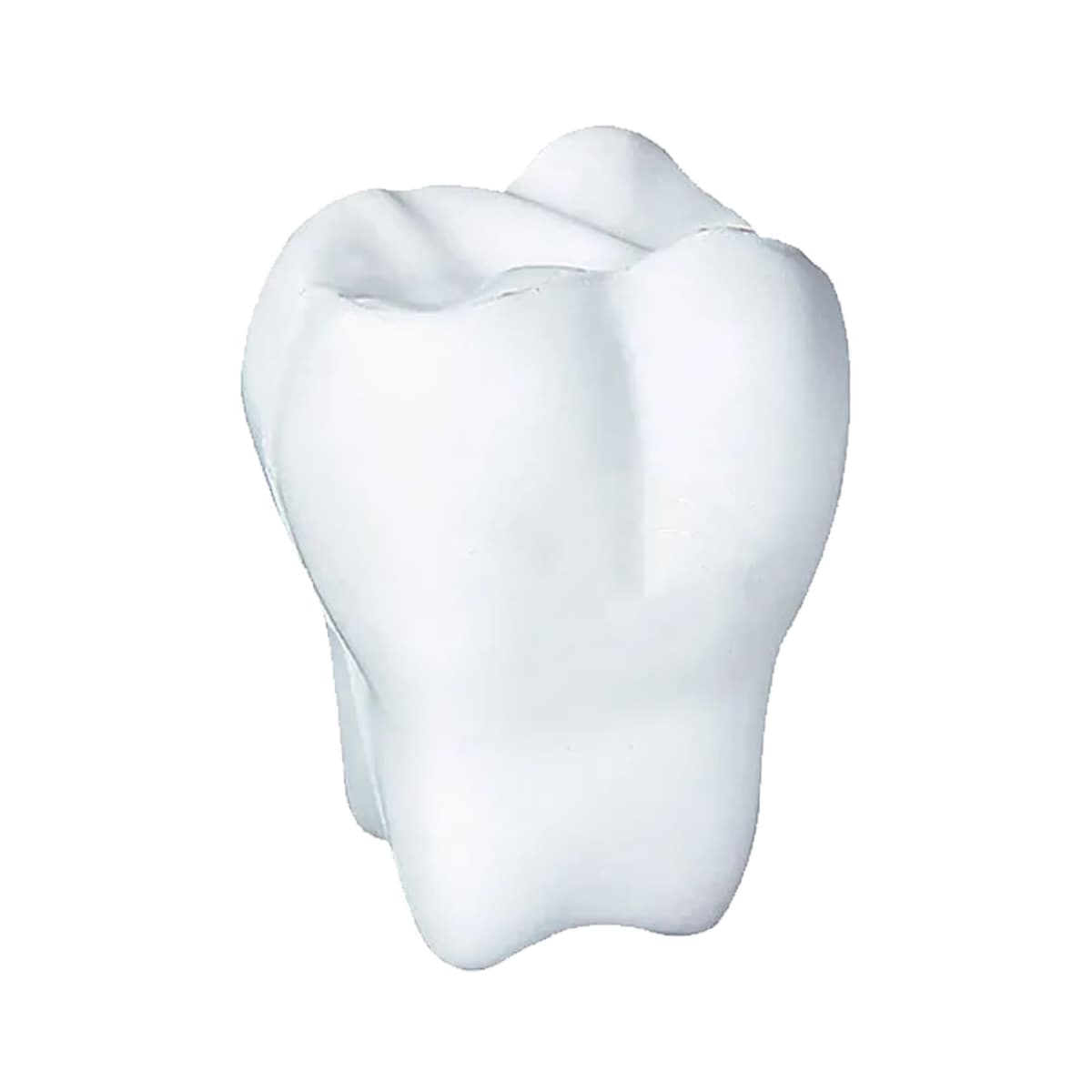 Image of a white ceramic tooth sculpture with smooth surfaces and subtle grooves, resembling a molar, against a plain white background.