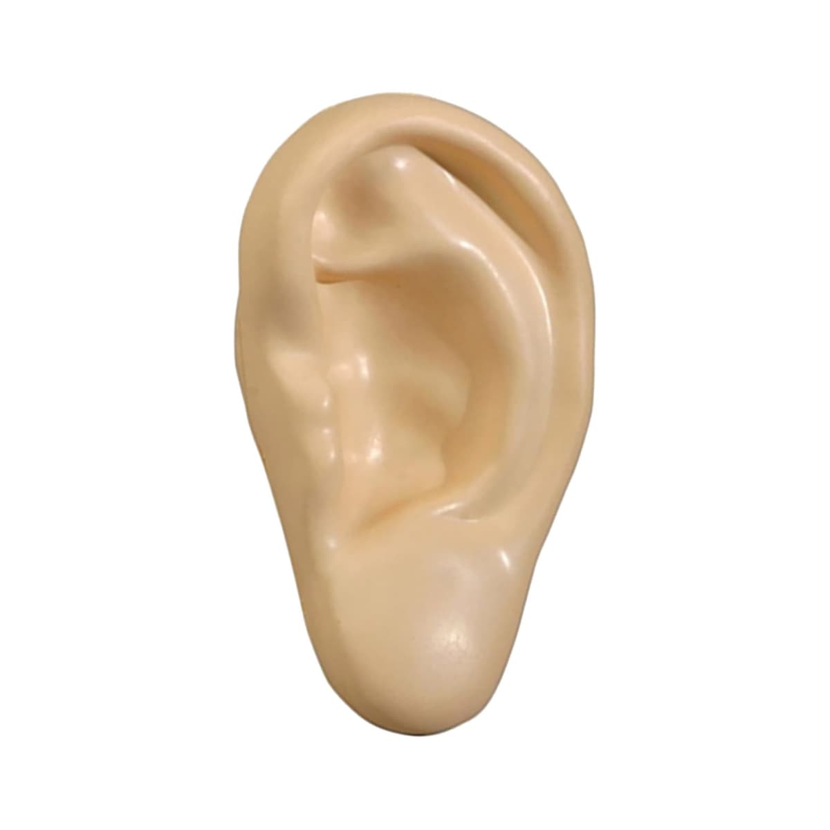 A realistic rubber ear prosthetic viewed against a white background, showing detailed contours and curves.