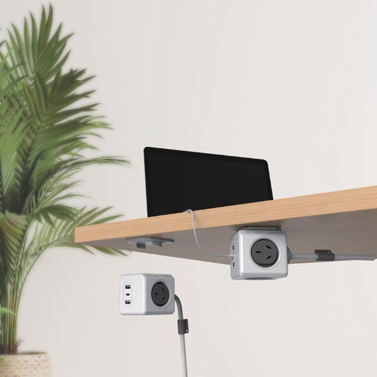 A modern office scene showing a wooden desk with a sleek laptop on top. Under the desk are two cube-shaped power outlets, one with USB ports. A tall green plant is in the background against a plain wall.