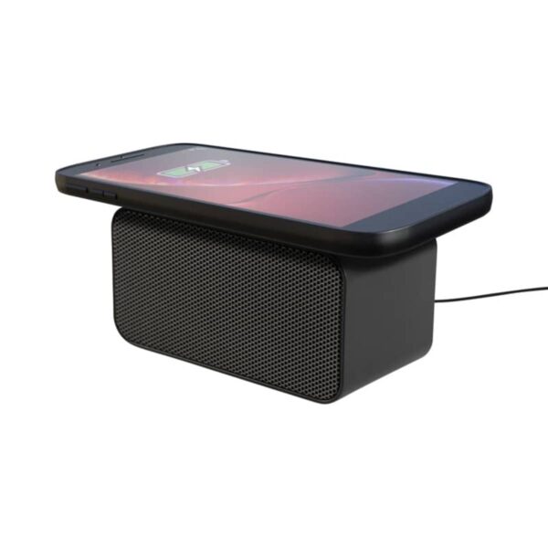 EchoCharge Wireless Speaker