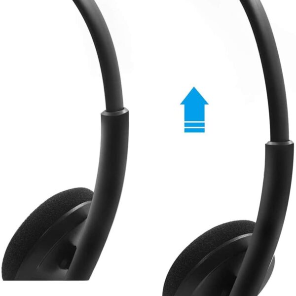 Regent Meeting Headsets