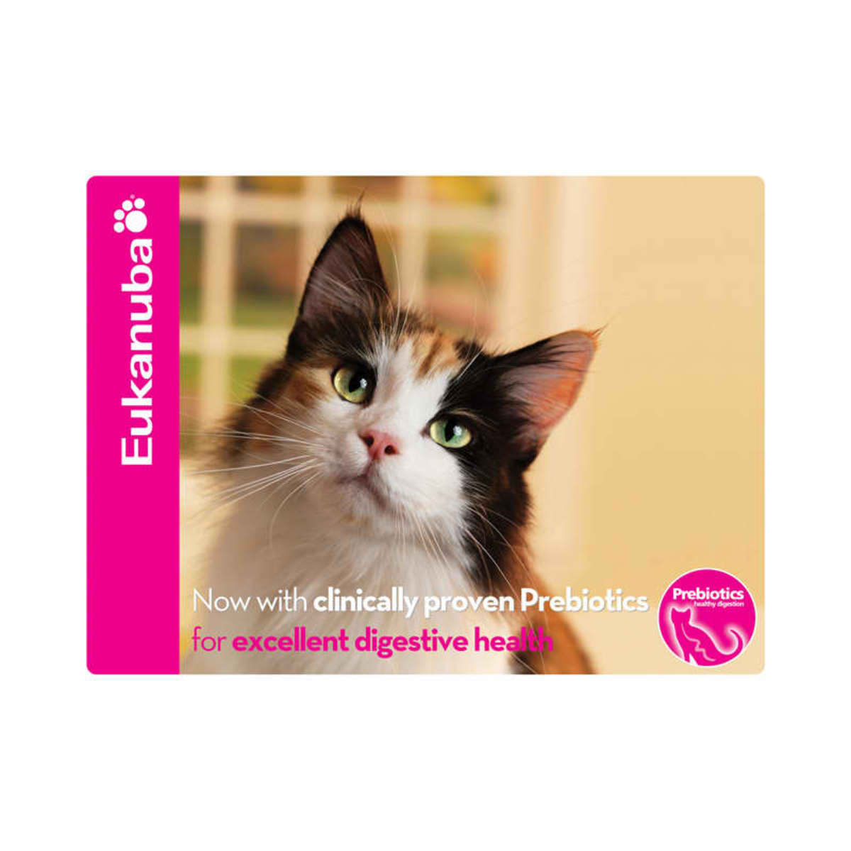 A close-up of a calico cat with green eyes, gazing upward. The image includes the text Eukanuba and mentions clinically proven prebiotics for excellent digestive health, with a pink circle logo featuring a cat silhouette.