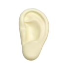 A customized stressball shaped like a human ear.
