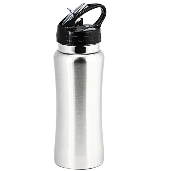 SilverSurfer Water Bottle