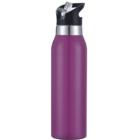 A purple stainless steel water bottle with a black and silver lid. The lid features a flip-up straw for easy drinking. The design is sleek and modern, suitable for keeping beverages cool or warm.