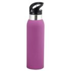A purple stainless steel water bottle with a black and silver lid featuring a loop handle, standing upright.