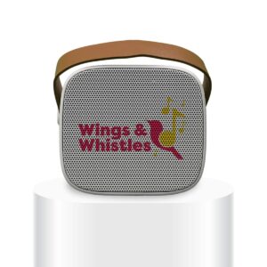 Wireless Boombox Mini Speaker